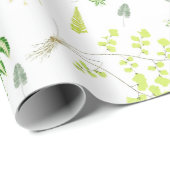 British Ferns in Victorian Drawings Wrapping Paper ラッピングペーパー (ロールコーナー)