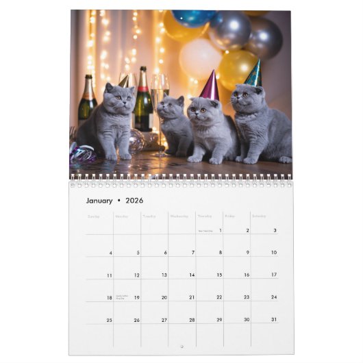 British Shorthair Calendar カレンダー (1月 2026)