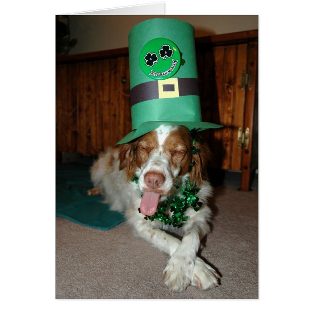 BRITNEY O'STOCK (正面)