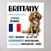 Brittany Origin Funny Brittany Dog Lover  ポスター (正面)