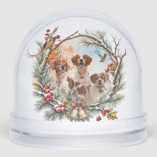 Brittany Spaniel (正面)