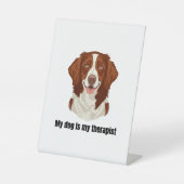 Brittany Spaniel 台座サイン (正面)