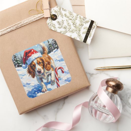 Brittany Spaniel Dog Pointing at Christmas Candy スクエアシール (ギフト)