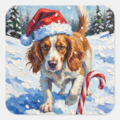 Brittany Spaniel Dog Pointing at Christmas Candy スクエアシール (正面)