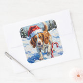 Brittany Spaniel Dog Pointing at Christmas Candy スクエアシール (封筒)