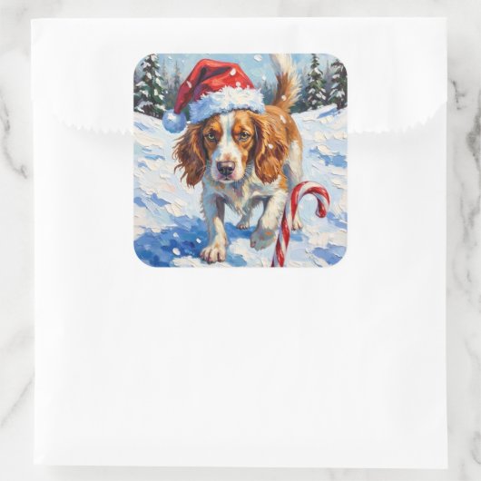 Brittany Spaniel Dog Pointing at Christmas Candy スクエアシール (バッグ)