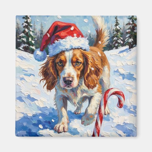 Brittany Spaniel Dog Pointing at Christmas Candy マグネット (正面)