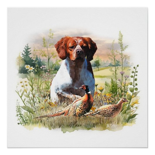 Brittany Spaniel – Field, Focus, Pheasant , Art  ポスター (正面)