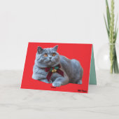 Brittish Shorthair Christmas Cookies Card カード (裏面)