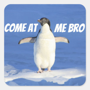 Broのミームのペンギンを私で来られる スクエアシール