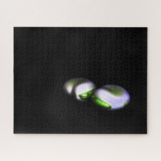 Broad Beans 16x20 520pc jpcna x 2 ジグソーパズル (横)