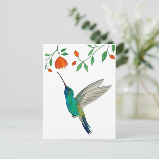 Broad-billed Hummingbird ポストカード (スタンド正面)
