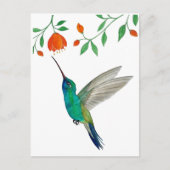 Broad-billed Hummingbird ポストカード (正面)