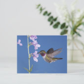 Broad-tailed Hummingbird, Selasphorus ポストカード (スタンド正面)