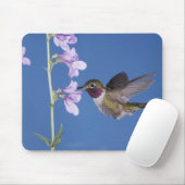 Broad-tailed Hummingbird, Selasphorus マウスパッド (マウス)