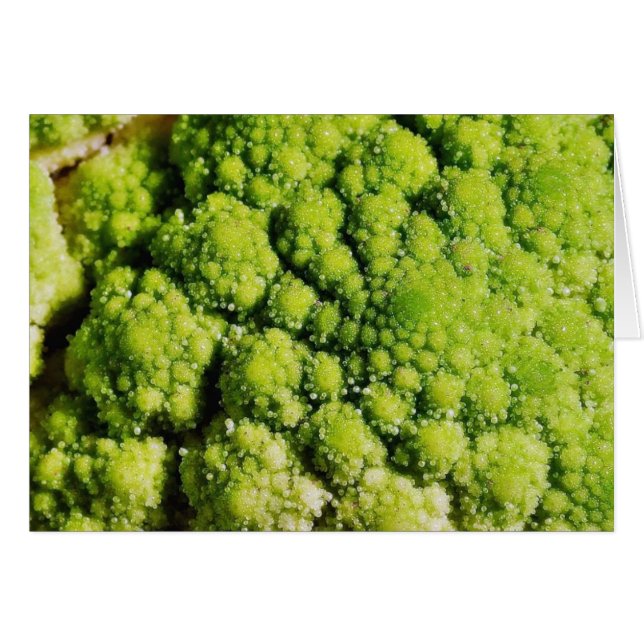 Broccoの花の野菜 (正面横)