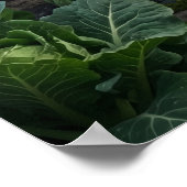 Broccoli Bear Terrace ポスター (角)