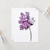 Brodiaeaの花 カード (正面/裏面インサイチュ)