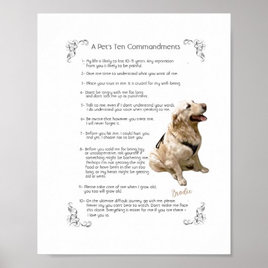 BRODIE – ポスター (正面)