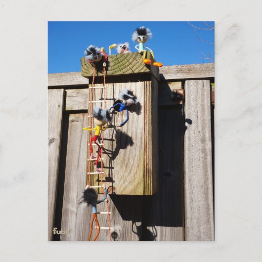 Broedkast vogelhuisje dat beklommen fubby's ポストカード (正面)