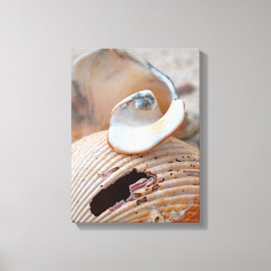 Broken Beauties キャンバスプリント (正面)