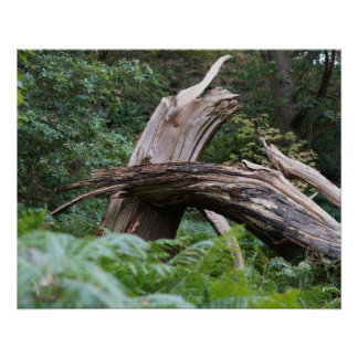 Broken Tree ポスター