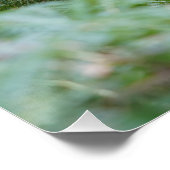 Broken Tree ポスター (コーナー)