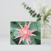 Bromeliadのエキゾチックなピンクの花 ポストカード (スタンド正面)