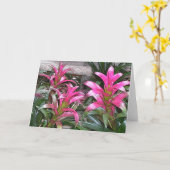 Bromeliadの挨拶状 カード (黄色い花)