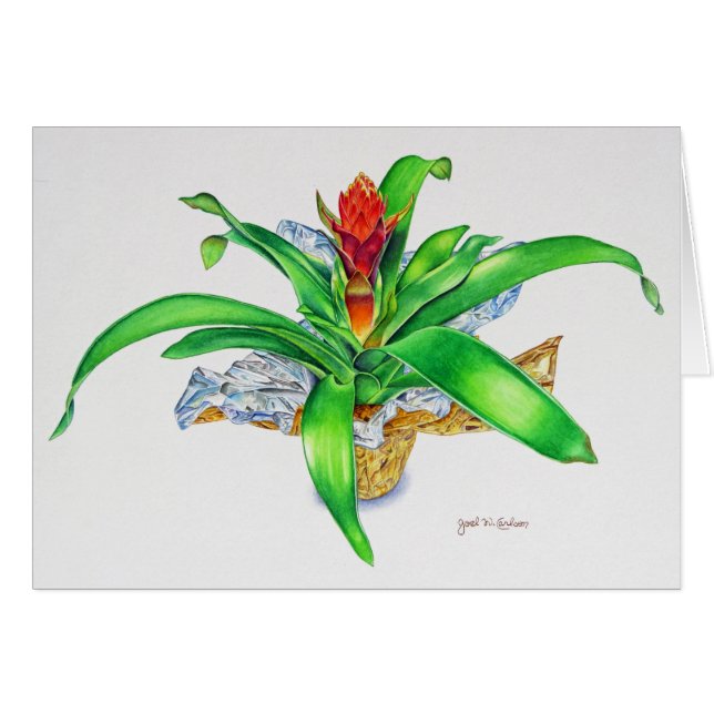 Bromeliadの水彩画 (正面横)