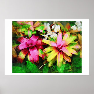 Bromeliad、油彩画、トロピカルコレクション ポスター