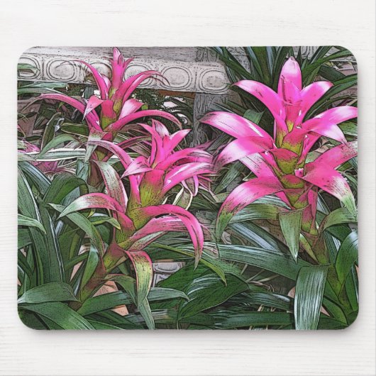 Bromeliad Mouspad マウスパッド (正面)