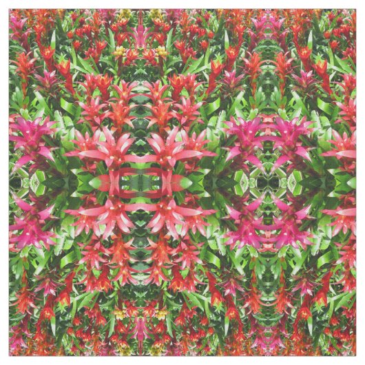 Bromeliads ファブリック (見本)