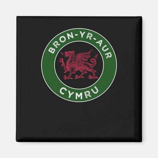 Bron-yr-aur Welsh Place Names Cymru 2ステッカー マグネット (正面)