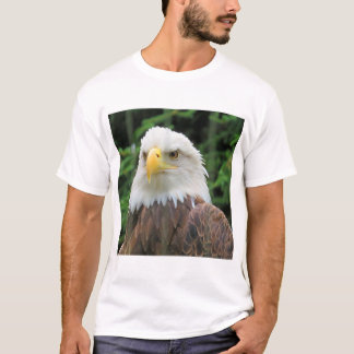 Bronx Zoo Eagle Tシャツ