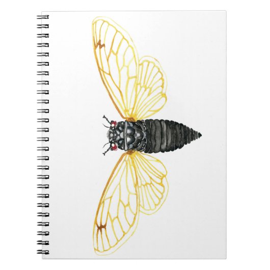 Brood X 17年定期性蝉 ノートブック (正面)