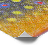 Brook Troutポスター ポスター (角)