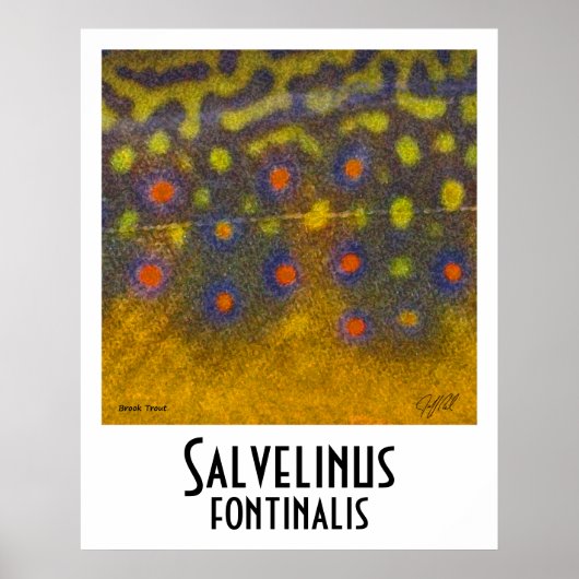 Brook Troutポスター ポスター (正面)