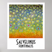 Brook Troutポスター ポスター (正面)