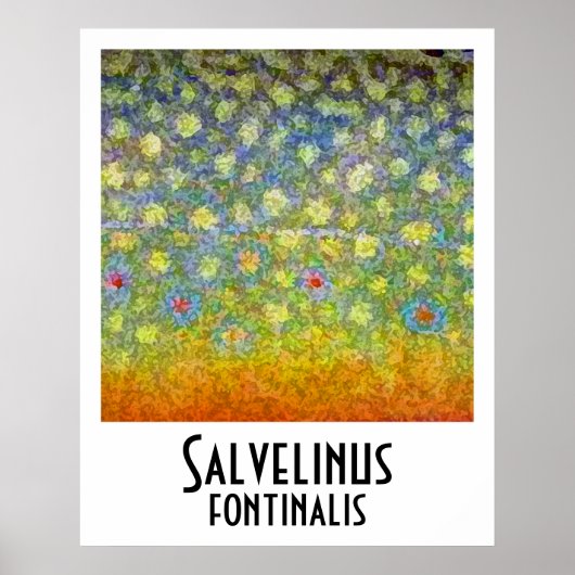 Brook Troutポスター ポスター (正面)