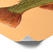 Brook Trout ポスター (角)