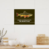 Brook Trout Fly Fishing Latin Name Ichthyology ポスター (キッチン)