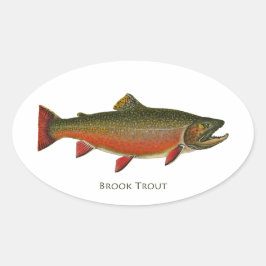 Brook Trout Male （産卵期） 楕円形シール