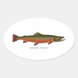 Brook Trout Male (産卵期) 楕円形シール