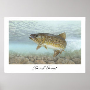Brook Trout Painting Poster ポスター