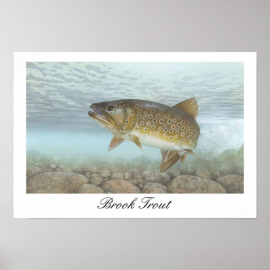Brook Trout Painting Poster ポスター (正面)