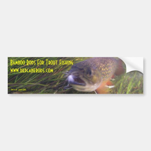 Brookieのバンパーステッカー バンパーステッカー (正面)