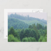 Brookings港、オレゴン ポストカード (正面/裏面)