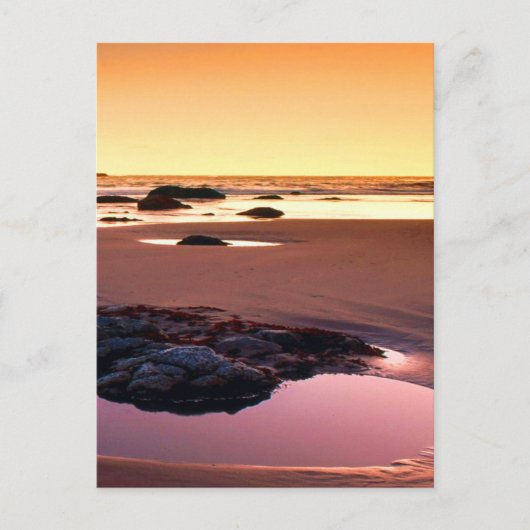 Brookings Harborサンセットの素晴らし写真 ポストカード (正面)