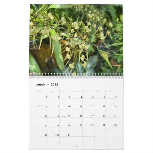 Brooklyn Orchids 2026 Calendar カレンダー (3月 2026)